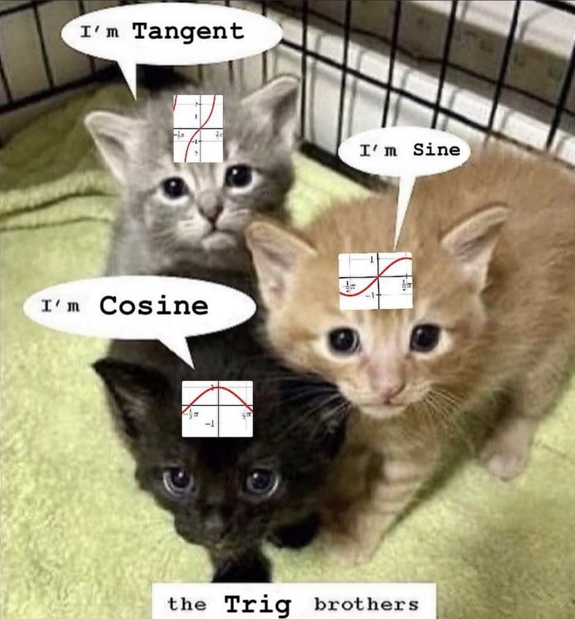 Python, C, Assembly - 2,500x Faster Cosine Similarity